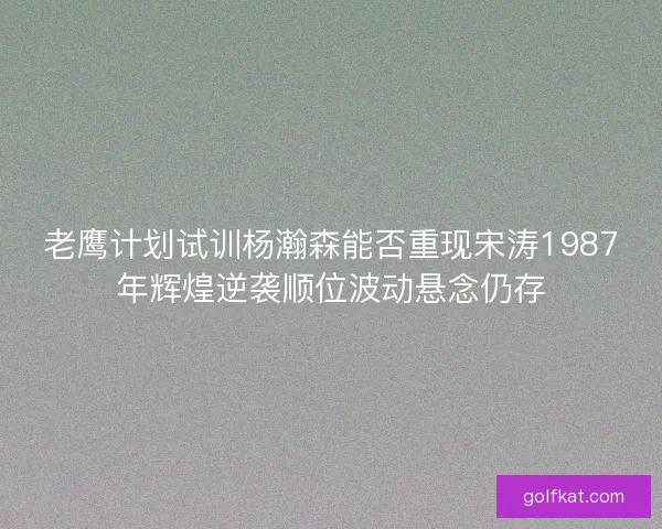 老鹰计划试训杨瀚森能否重现宋涛1987年辉煌逆袭顺位波动悬念仍存